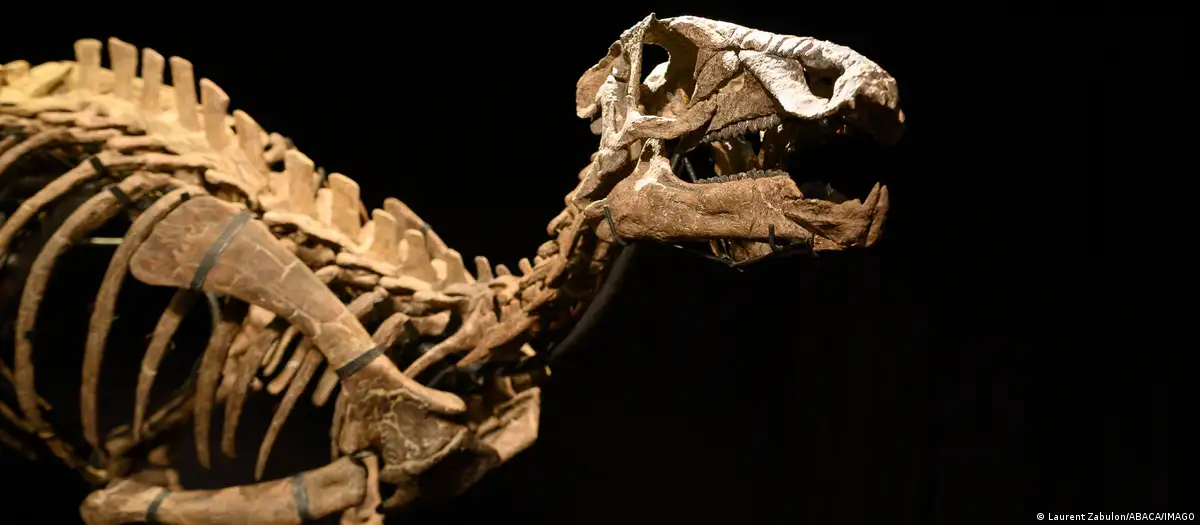 Há 200 anos ciência reconhecia o primeiro dinossauro