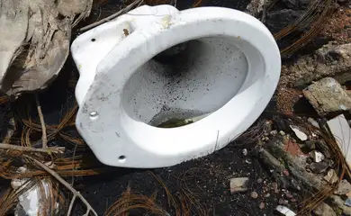 Casos de dengue no estado do Rio aumentam 56% em uma semana