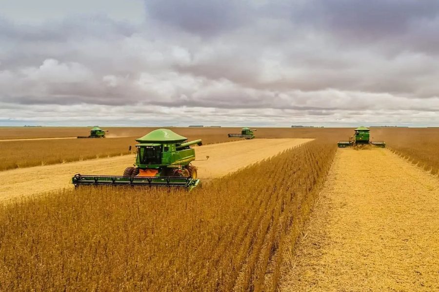 MT:   Juiz proíbe bloqueio de bens de produtor com dívidas de R$ 84 milhões e assegura colheita da safra