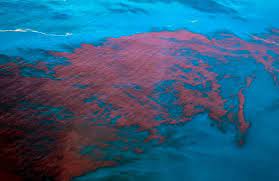 Alagoas e PE têm mais de 400 casos de intoxicação da maré vermelha