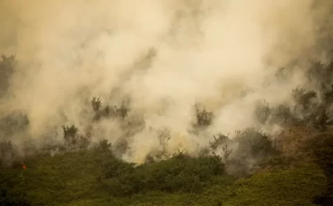 MT:  Mato Grosso lidera registros de queimadas no país em 2024