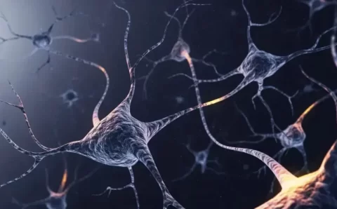 Alzheimer: estudo mostra o que pode causar a morte de neurônios