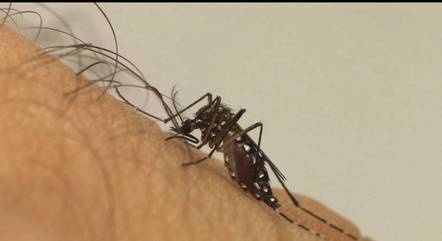 Casos de chikungunya disparam 42% em meio à epidemia de dengue