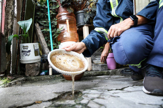 MT:  A DENGUE AVANÇA EM CUIABÁ:   Saúde reforça fiscalização com denúncia da terrenos baldios