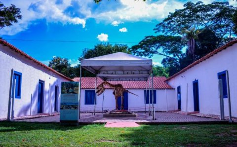 MT:  PROGRAMAÇÃO DE MARÇO: Museu de História Natural oferece gratuitamente oficinas de fotografia, gastronomia, pintura e yoga