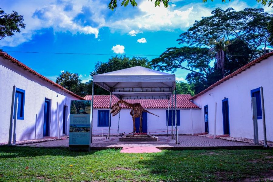 MT:  PROGRAMAÇÃO DE MARÇO: Museu de História Natural oferece gratuitamente oficinas de fotografia, gastronomia, pintura e yoga