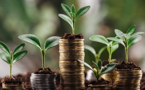 O que falta para o mercado de carbono ser validado no Brasil?