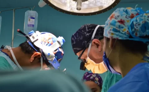 “Marco histórico”, diz à CNN médico brasileiro que comandou transplante de rim de porco em humano