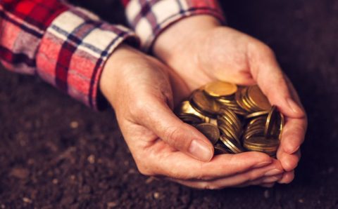 MT:   Ministérios da Agricultura e Integração discutem projetos agrícolas para combate às desigualdades sociais