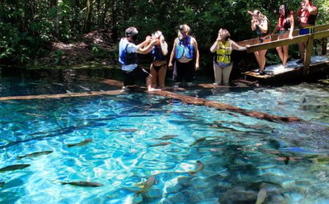 MT:  FECHADA HÁ 20 ANOS:   Turistas invadem gruta fechada em MT; há risco de degradação