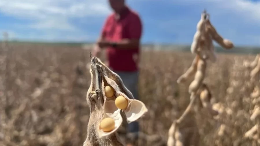 MT:  CMN aprova prorrogação de dívidas do crédito rural para MT que vencem em 2024