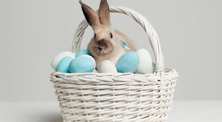 Saiba a origem da Páscoa e como a celebração ocorre ao redor do mundo