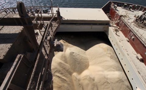 MT:  Exportação de soja de MT tem maior declínio em três anos