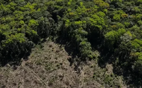 Relatório liga bancos a fazendas com ficha suja na Amazônia