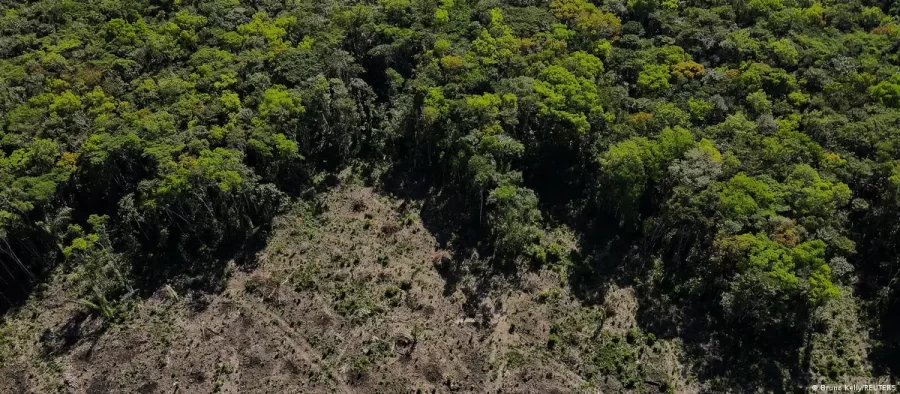 Relatório liga bancos a fazendas com ficha suja na Amazônia