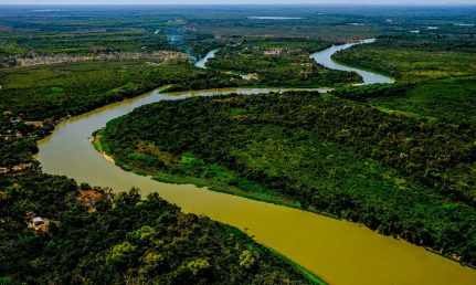 MT:   VAI PAGAR R$ 5,2 BILHÕES:  MP pede prisão de pecuarista acusado de desmatar 81 mil hectares no Pantanal