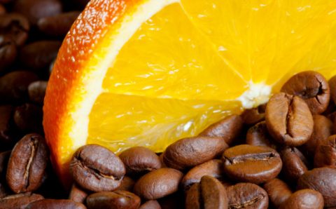 AFETANDO LAVROURAS:   Citricultores enfrentam ataque de mosca-das-frutas