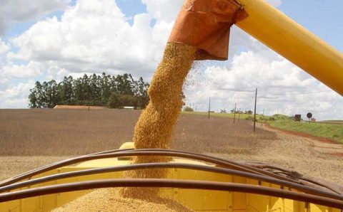 Mato Grosso segue na liderança da produção nacional de grãos