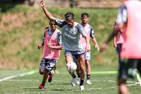 Atlético-MG divulga relacionados para partida de estreia na Libertadores