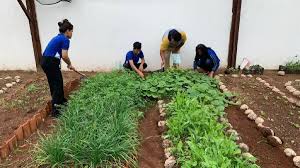 Estudantes de escola estadual aprendem a fazer adubo orgânico utilizando técnica sustentável