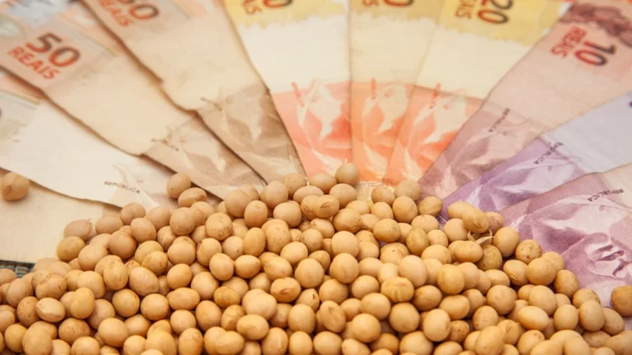 Cotações da soja em alta: preços sobem em todo o Brasil