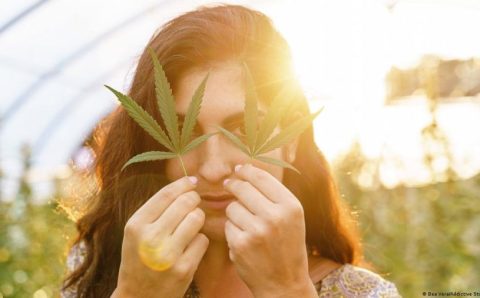 Maconha aumenta risco de psicose em adolescentes, diz estudo