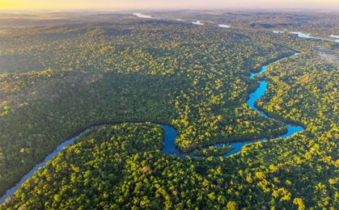 MT:  CRISTALINO II:   Governo tira corpo fora, e MP tentará reverter extinção de parque