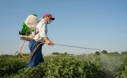 Glifosato: mitos e verdades sobre um dos agrotóxicos mais usados do mundo