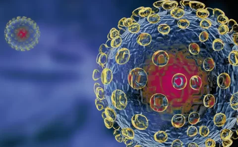 Os vírus que podem provocar a próxima pandemia