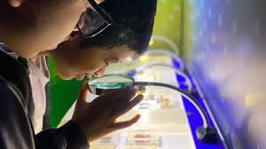 ‘Palco da Ciência’: projeto da Seciteci estará em Rondonópolis a partir desta segunda-feira (17)