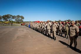 Governo de MT lança operação de combate aos incêndios no Pantanal: “objetivo é a prevenção e antencipação das ações estratégicas”