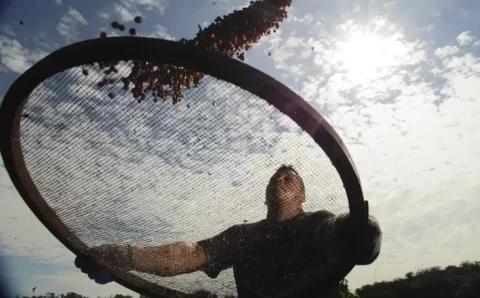 Brasil faz acordo com China que pode aumentar exportação de café