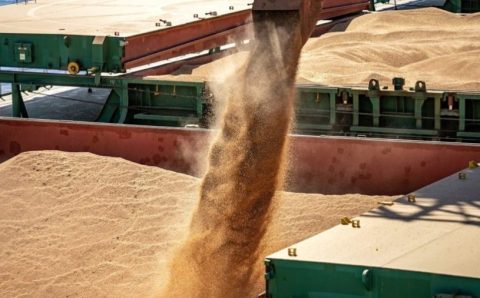 MT:   Mato Grosso Mantém-se Líder na Produção de Grãos em 2024