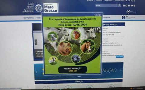 MT:   Governo de MT prorroga campanha estadual de atualização de rebanho até dia 10 de junho