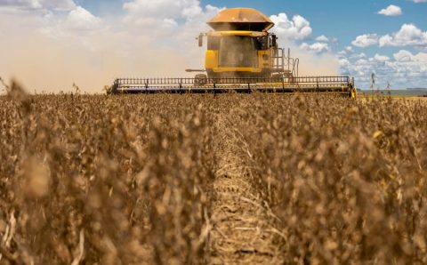 MT:  Safra americana pode sofrer com inverno e abre oportunidades para MT, diz especialista