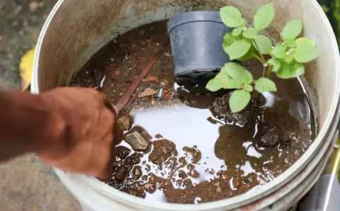 Dengue: Saúde encerra atividades do Centro de Operações em Emergência Órgão permaneceu ativo por 142 dias