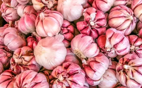 Veja 6 benefícios do alho para a saúde e dicas de como consumir