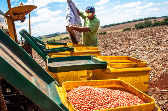 MT:;  SAFRA 2023/2024:   Mato Grosso lidera a expansão nacional do mercado de bioinsumos