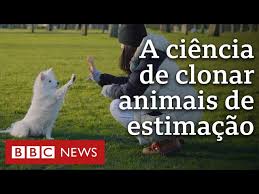 Como funciona a indústria de clonagem de pets