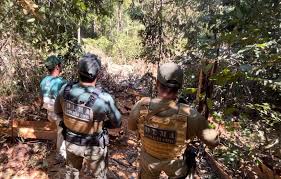 Polícia Civil flagra derrubada de árvores em área de preservação permanente no nordeste de MT