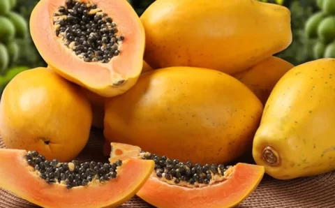 Mamão: confira 9 benefícios da fruta para a sua saúde