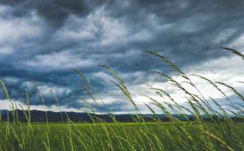 PRÓXIMOS 15 DIAS:   Previsão do tempo: chuva retorna ao Sul com avanço de frente fria