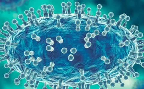 OMS volta a declarar mpox como ‘emergência de saúde global’: Brasil corre risco?