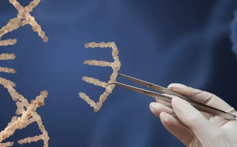 Descobertas sobre DNA podem ajudar a melhorar saúde indígena