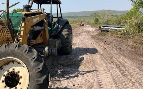 MT:  Produtores rurais contratam avião para combater incêndio em área de Cerrado que já dura 1 mês em MT