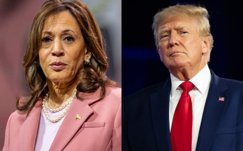 Kamala em alta: veja como pesquisas nos EUA mudaram nos últimos meses