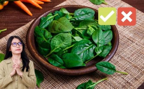 Benefícios e malefícios do espinafre: o que acontece se consumir a folha com frequência e saiba se é melhor comer cru ou cozido