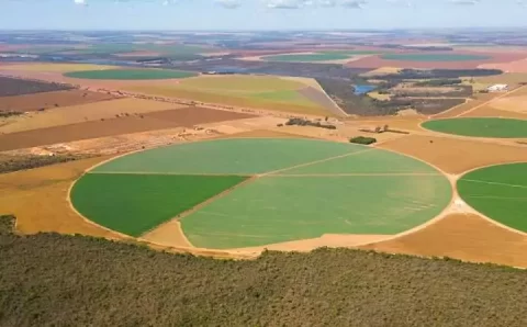 Prazo para declaração do ITR começa no dia 12 de agosto