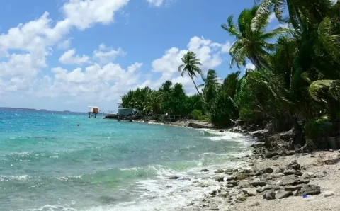 Oceanos em colapso: um novo capítulo da crise climática global?