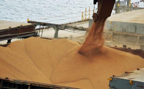 EXPORTAÇÃO:   Exportações brasileiras de soja retomam bom desempenho em 2024